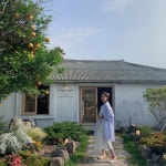 브랜디 - 여성 전문 쇼핑앱