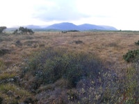 Rough grazing, Lackaweer Townland (C) Mac McCarron :: Geograph Britain and Ireland Rough grazing, Lackaweer Townland (C) Mac McCarron