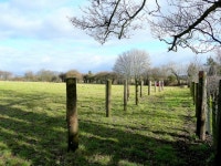Row of posts in a field (C) Jonathan Billinger :: Geograph Britain and Ireland Row of posts in a field (C) Jonathan Billinger