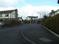 Newtown Way, Newtownards (C) Dean Molyneaux :: Geograph Britain and Ireland Newtown Way, Newtownards (C) Dean Molyneaux