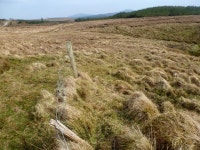 Rough ground near Tullykonwar (C) louise price :: Geograph Britain and Ireland Rough ground near Tullykonwar (C) louise price