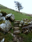 Steps to Nacroaghy field (C) louise price :: Geograph Britain and Ireland Steps to Nacroaghy field (C) louise price