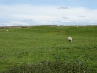Site of the Roman fort at Maryport (C) Sarah Charlesworth :: Geograph Britain and Ireland Site of the Roman fort at Maryport (C)... 