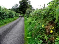 Cairn Road, Drumnakilly (C) Kenneth  Allen :: Geograph Britain and Ireland Cairn Road, Drumnakilly (C) Kenneth  Allen