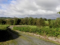 Lane, Tamlaght (C) Kenneth  Allen :: Geograph Britain and Ireland Lane, Tamlaght (C) Kenneth  Allen