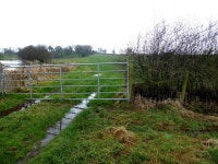 Gate and catkins, Recarson (C) Kenneth  Allen :: Geograph Britain and Ireland Gate and catkins, Recarson (C) Kenneth  Allen