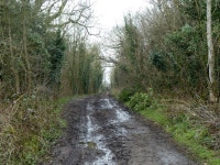 Burtonhole Lane (C) Robin Webster :: Geograph Britain and Ireland Burtonhole Lane (C) Robin Webster