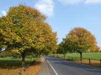 Winn Common Road (C) Marathon :: Geograph Britain and Ireland Winn Common Road (C) Marathon