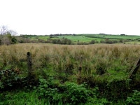Rushy ground, Tullanafoile (C) Kenneth  Allen :: Geograph Britain and Ireland Rushy ground, Tullanafoile (C) Kenneth  Allen