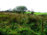 Rough ground, Tullanafoile (C) Kenneth  Allen :: Geograph Britain and Ireland Rough ground, Tullanafoile (C) Kenneth  Allen