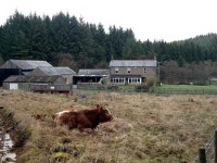 Blakehopeburnhaugh (C) Andy Stephenson :: Geograph Britain and Ireland Blakehopeburnhaugh (C) Andy Stephenson