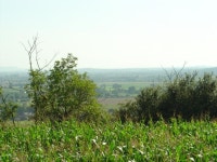 Sandhurst Hill, Gloucestershire (C) Fan Yang :: Geograph Britain and Ireland Sandhurst Hill, Gloucestershire (C) Fan Yang