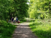 Forest of Dean cycle tracks (C) Bob Tinley :: Geograph Britain and Ireland Forest of Dean cycle tracks (C) Bob Tinley
