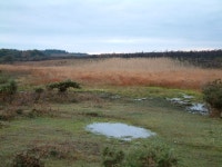 Marshy Area, Shipton Bottom, Near East... (C) Jim Mitchell :: Geograph Britain and Ireland Marshy Area, Shipton Bottom, Near... 