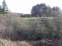 Clabby Forest (C) Kenneth  Allen :: Geograph Britain and Ireland Clabby Forest (C) Kenneth  Allen