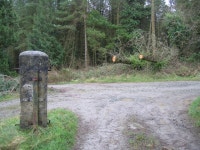 Track Junction in Pentraeth Forest (C) John S Turner :: Geograph Britain and Ireland Track Junction in Pentraeth Forest (C) John... 