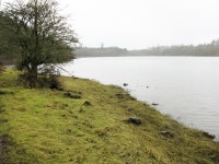 Farnham Lough, Farnham , County Cavan (C) Peter Gerken :: Geograph Britain and Ireland Farnham Lough, Farnham , County Cavan (C)... 
