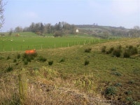 Dartans, Castlederg (C) Kenneth  Allen :: Geograph Britain and Ireland Dartans, Castlederg (C) Kenneth  Allen