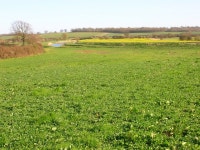 Rother Levels near Newenden (C) Simon Carey :: Geograph Britain and Ireland Rother Levels near Newenden (C) Simon Carey