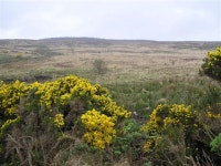 Sloughan Townland (C) Kenneth  Allen :: Geograph Britain and Ireland Sloughan Townland (C) Kenneth  Allen