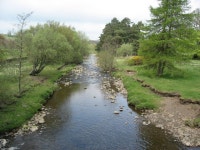 The East Allen (C) Julia Thompson :: Geograph Britain and Ireland The East Allen (C) Julia Thompson
