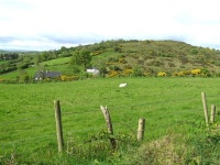 Croneen Barr (C) Kenneth  Allen :: Geograph Britain and Ireland Croneen Barr (C) Kenneth  Allen