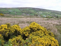 Croneen Barr (C) Kenneth  Allen :: Geograph Britain and Ireland Croneen Barr (C) Kenneth  Allen
