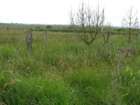 Kinnagillian Townland (C) Kenneth  Allen :: Geograph Britain and Ireland Kinnagillian Townland (C) Kenneth  Allen