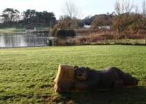 Ornamental Bear, Youngs Park, Paignton (C) Tom Jolliffe :: Geograph Britain and Ireland Ornamental Bear, Youngs Park, Paignton... 