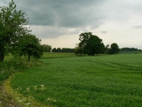 Dummer Countryside (C) Scriniary :: Geograph Britain and Ireland Dummer Countryside (C) Scriniary