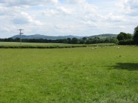 Fields at Linley Green (C) Peter Whatley :: Geograph Britain and Ireland Fields at Linley Green (C) Peter Whatley