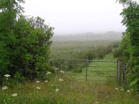 Meensheelin Townland (C) Kenneth  Allen :: Geograph Britain and Ireland Meensheelin Townland (C) Kenneth  Allen