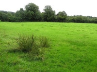 Stranafeley Townland (C) Kenneth  Allen :: Geograph Britain and Ireland Stranafeley Townland (C) Kenneth  Allen