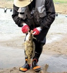 [별미 찾아 가는 산행] 영양만점 ‘남한강 수돈(水豚)’ 쏘가리... 찾아 가는 산행] 영양만점 ‘남한강 수돈(水豚)’ 쏘가리 & 단양 도락산