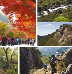 [명산 명품 산행로] 내장산, 내장 8봉 종주 12km < 가을 산행 < 이 달의 산 < 기사본문 - 월간산 [명산 명품 산행로] 내장산, 내장 8봉 종주 12km