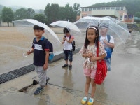 전원학교 소식<전원학교<도안초등학교 도안초등학교