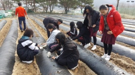 포토뉴스<학교소식<노은중학교 노은중학교