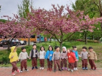 유치원행사앨범<내곡소식<병설유치원<청주내곡초등학교 청주내곡초등학교