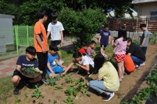포토갤러리<e-산외교육<산외초등학교 산외초등학교