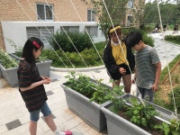 Go Green 생태 체험<생태환경 연구학교<선생님마당<청주내곡초등학교 청주내곡초등학교