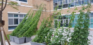 Go Green 생태 체험<생태환경 연구학교<선생님마당<청주내곡초등학교 청주내곡초등학교