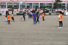학교앨범<알림마당<장연초등학교 장연초등학교
