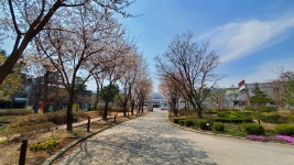 학교앨범<알림마당<이월초등학교 이월초등학교