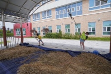 Go Green 생태 체험<생태환경 연구학교<선생님마당<청주내곡초등학교 청주내곡초등학교