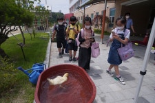Go Green 생태 체험<생태환경 연구학교<선생님마당<청주내곡초등학교 청주내곡초등학교