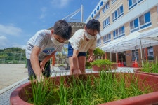 Go Green 생태 체험<생태환경 연구학교<선생님마당<청주내곡초등학교 청주내곡초등학교