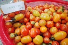 지프내 사진관<학교정보공개방<심천중학교 심천중학교