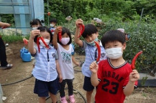 특색앨범<특색사업<병설유치원<감물초등학교 감물초등학교