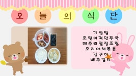 식단 사진