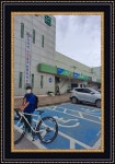 연구학교 앨범<연구학교<내수초등학교 내수초등학교